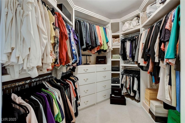 walk in closet with carpet floors