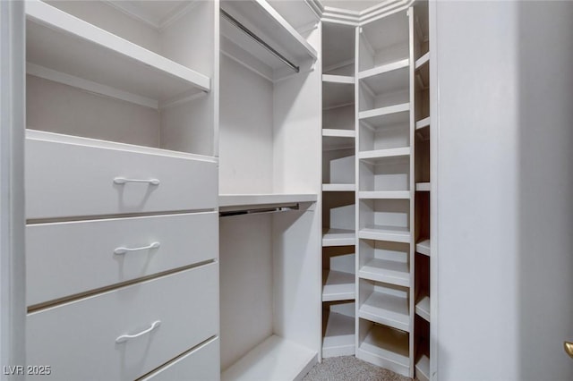 view of spacious closet