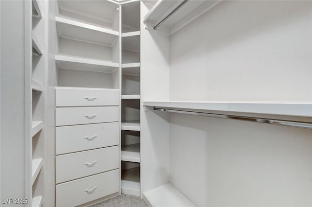 view of spacious closet