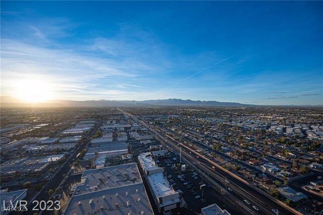 4381 W Flamingo Rd Unit 3303, Las Vegas, NV 89103 - photo 41