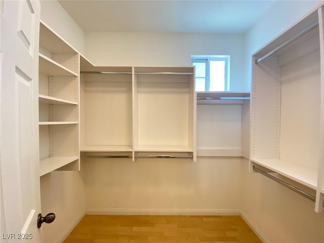 walk in closet with light wood finished floors