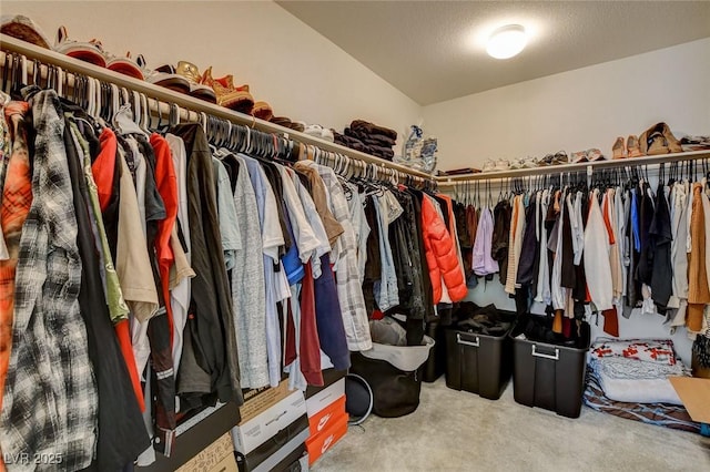 walk in closet with carpet flooring