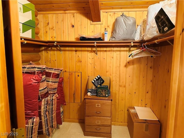 view of walk in closet
