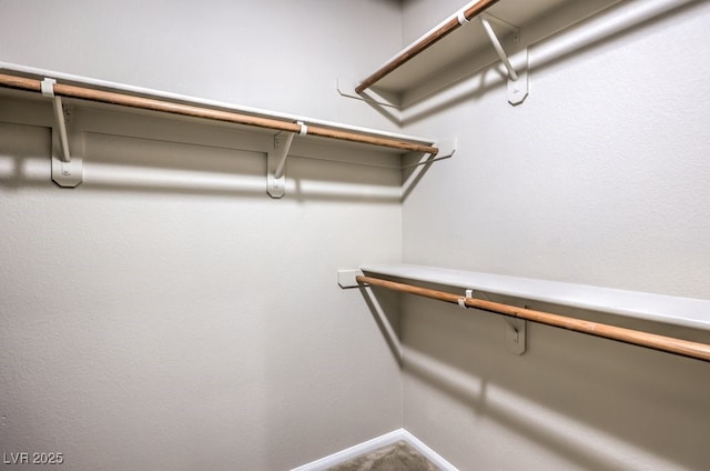 view of spacious closet