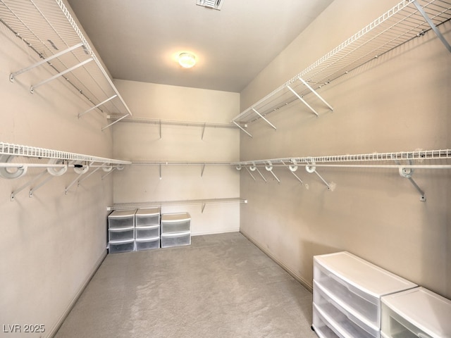 spacious closet featuring carpet