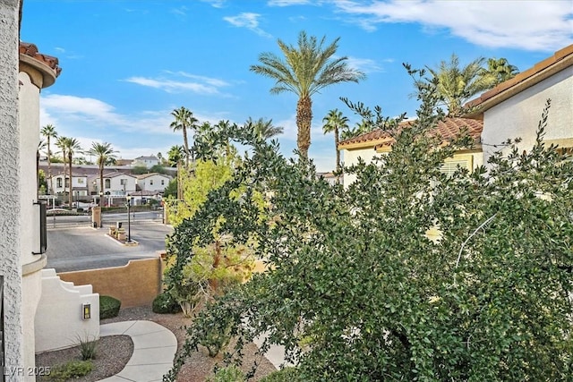 view of yard featuring a residential view