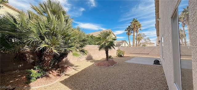 view of yard with a patio area and a fenced backyard