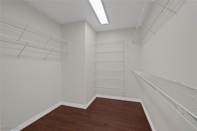 walk in closet featuring wood finished floors