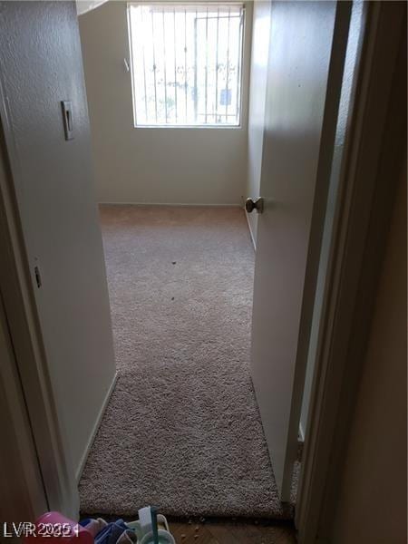 hallway with carpet flooring