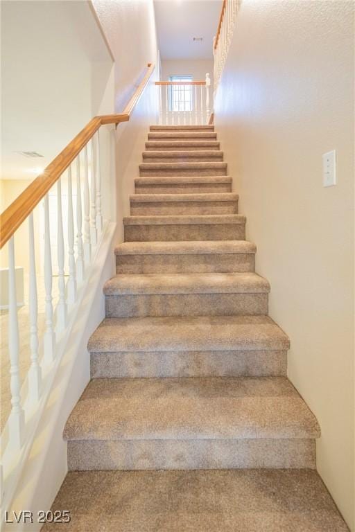 stairway featuring carpet floors