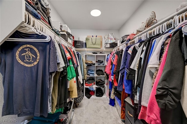 6747 Marjoram St, Las Vegas, NV 89166 - walk in closet with carpet floors