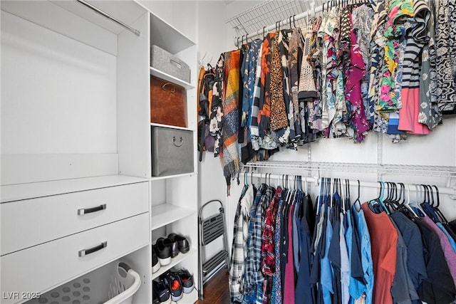 spacious closet featuring wood finished floors