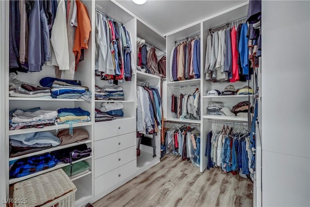 spacious closet featuring wood finished floors