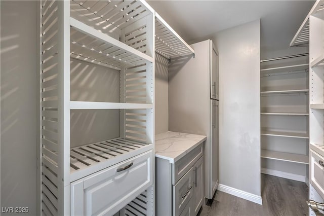 spacious closet featuring dark wood-style floors