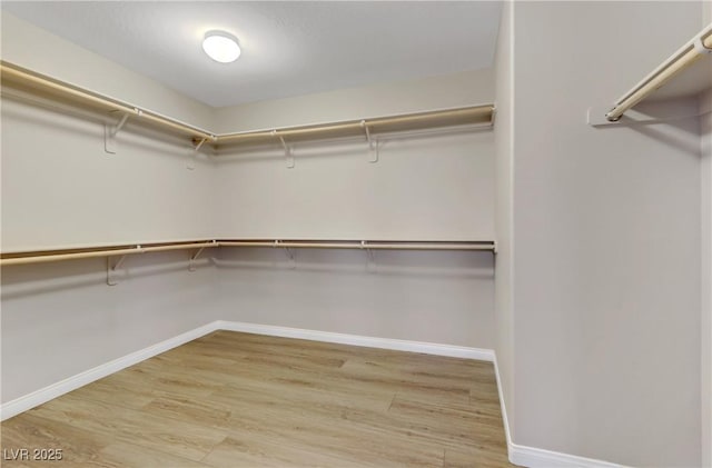 spacious closet featuring light wood-type flooring