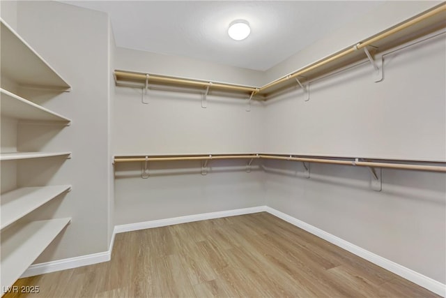 spacious closet featuring wood finished floors