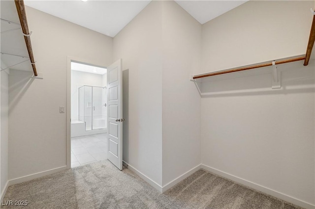 spacious closet featuring carpet floors