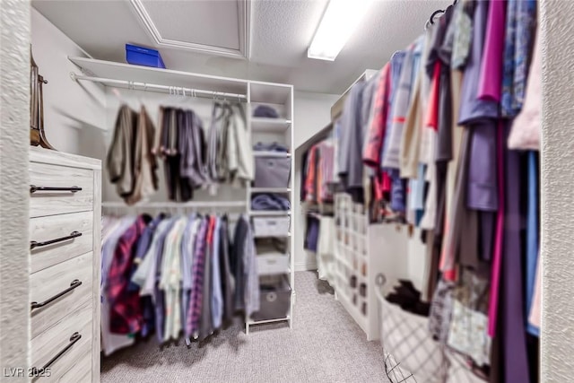 spacious closet with carpet floors and attic access