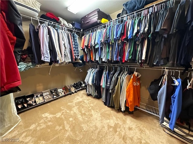 walk in closet featuring carpet