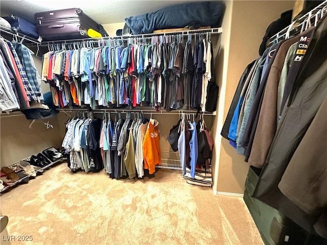 walk in closet featuring carpet