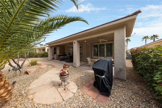 back of house with a ceiling fan, a patio area, and stucco siding