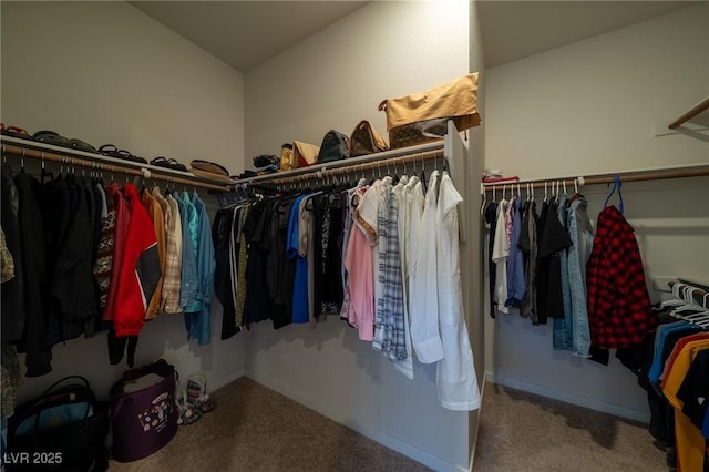 4400 E Cactus Canyon Dr, Pahrump, NV 89061 - walk in closet with carpet flooring