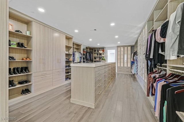 spacious closet with light wood-style flooring