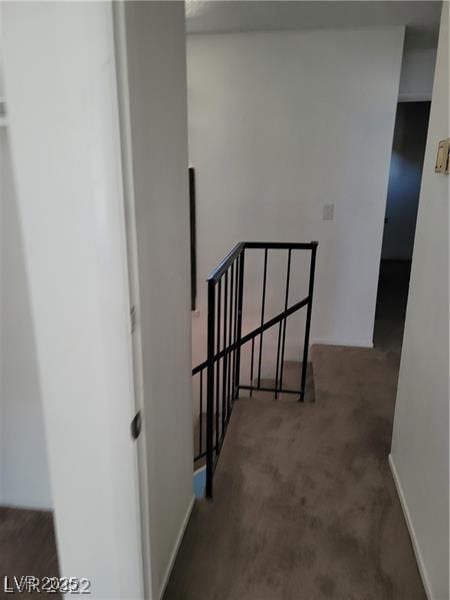 staircase featuring carpet flooring