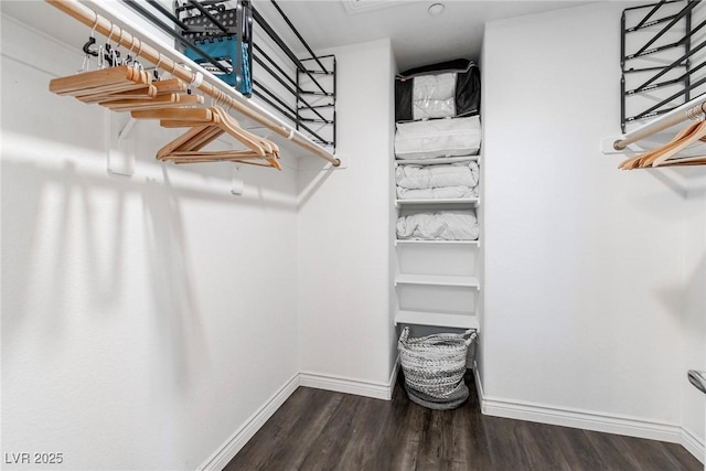 spacious closet featuring dark wood-style flooring