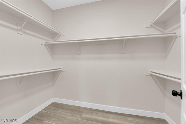 walk in closet featuring wood finished floors