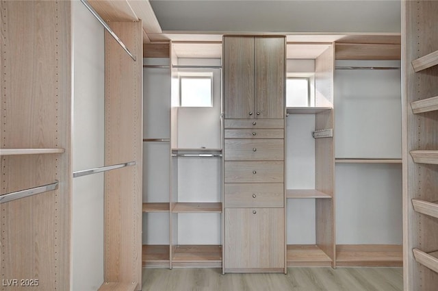 walk in closet with wood finished floors