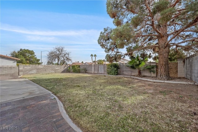 view of yard with a fenced backyard and a patio