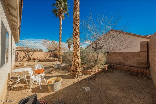 view of yard with a patio area and a fenced backyard