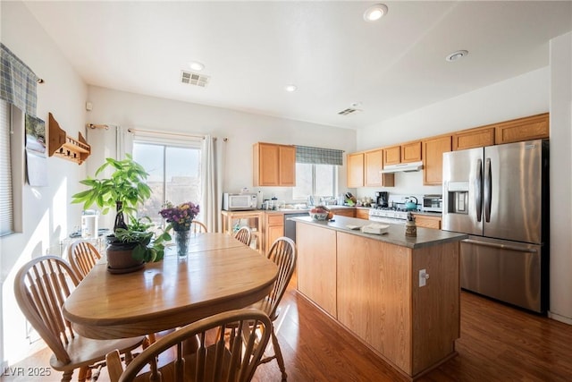 kitchen with appliances with stainless steel finishes, dark wood-style flooring, a center island, under cabinet range hood, and recessed lighting