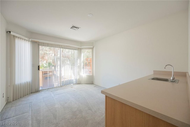 interior space with light colored carpet, a sink, and visible vents