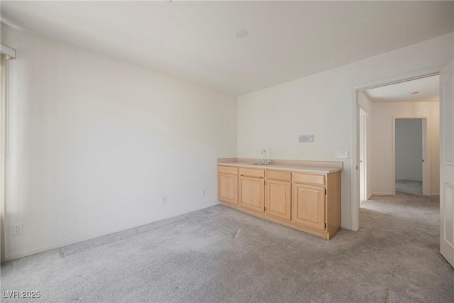 interior space with light carpet and a sink