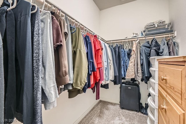 walk in closet featuring carpet floors