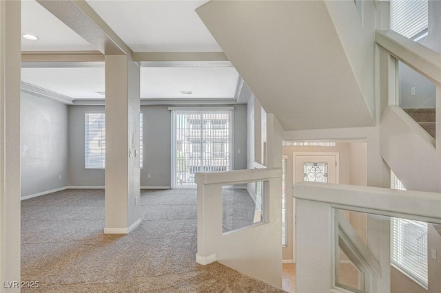 hall featuring plenty of natural light, baseboards, and carpet flooring