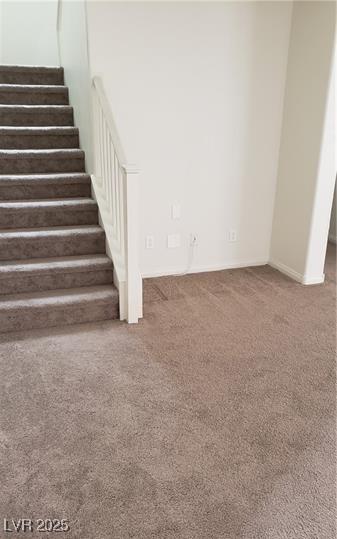 staircase with carpet flooring