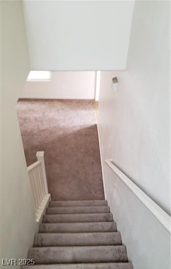 staircase featuring carpet flooring