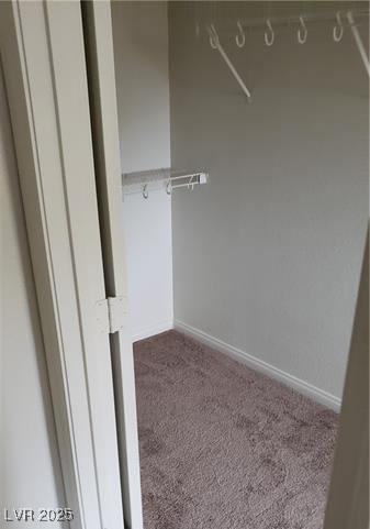 spacious closet with carpet floors