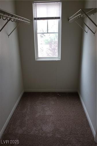 walk in closet featuring carpet