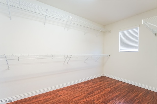 walk in closet featuring wood finished floors