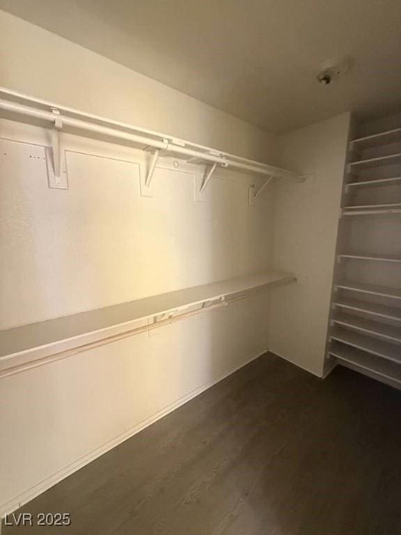 walk in closet featuring dark wood finished floors