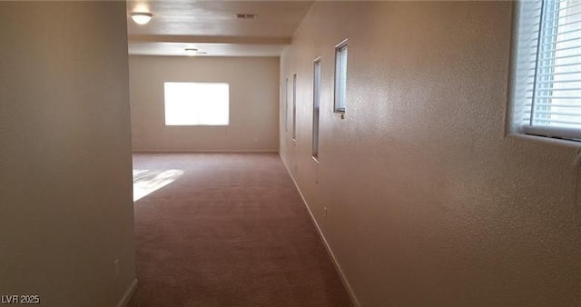 hall featuring carpet, plenty of natural light, and baseboards