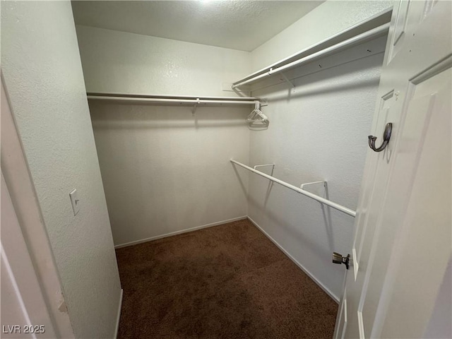 walk in closet featuring carpet floors