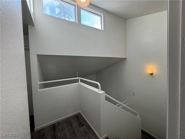 stairway featuring wood finished floors