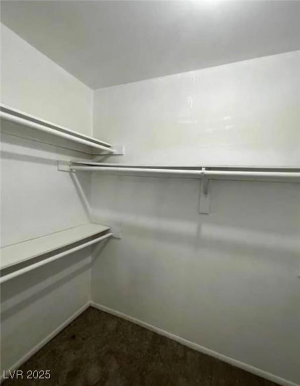 walk in closet with dark colored carpet