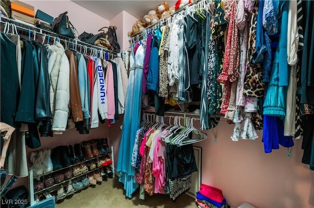 walk in closet with carpet