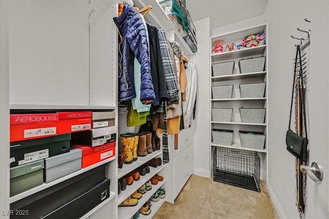 spacious closet featuring carpet